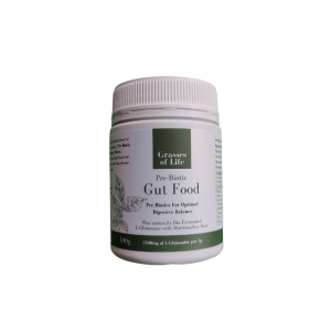 Pre-Biotic Gut Food with Bio-Fermented L-Glutamine